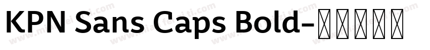 KPN Sans Caps Bold字体转换
